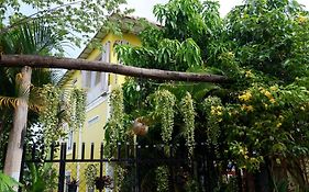 Homestay Yellow Natural House