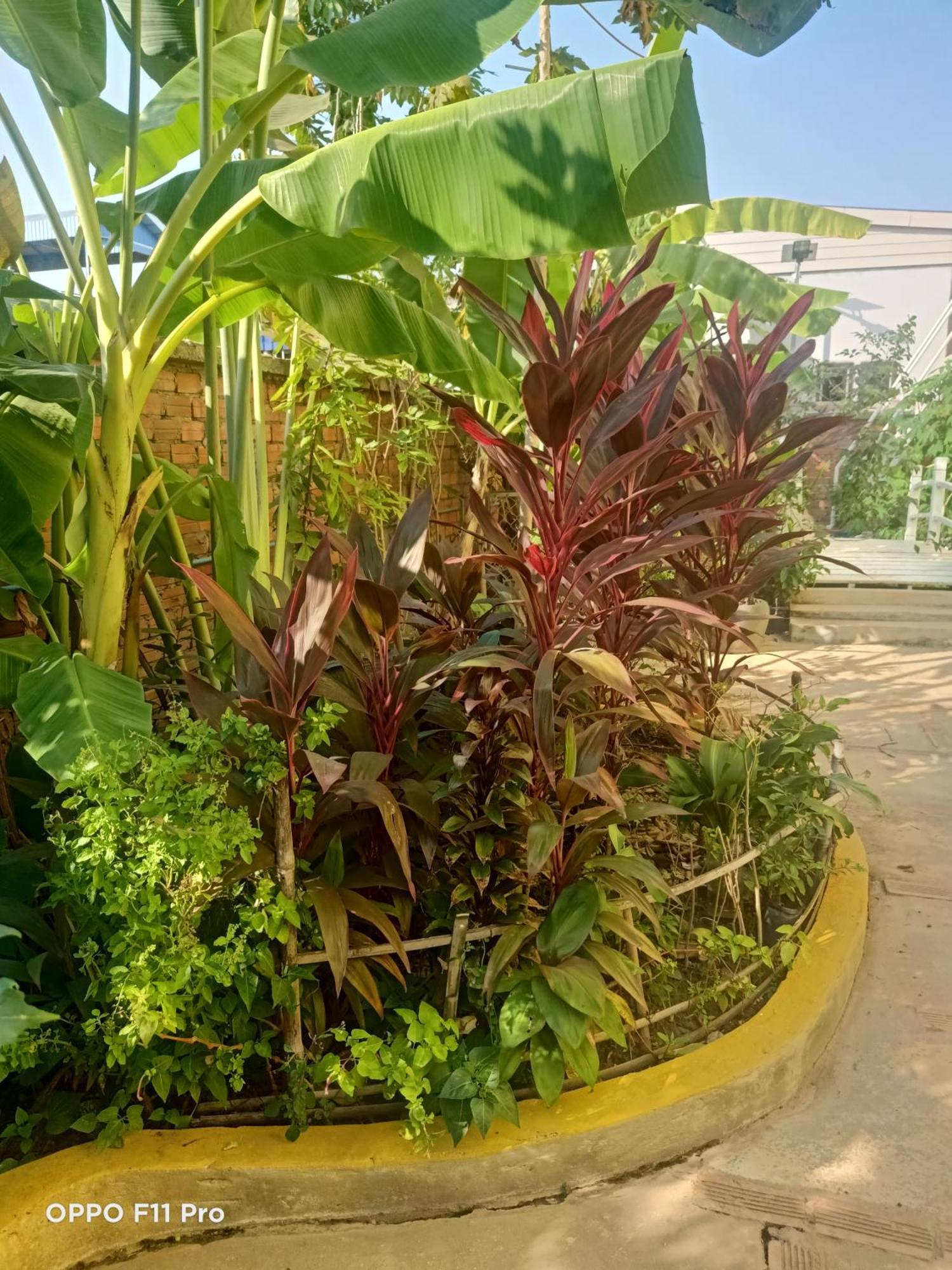 Homestay Yellow Natural House Siem Reap Exterior foto
