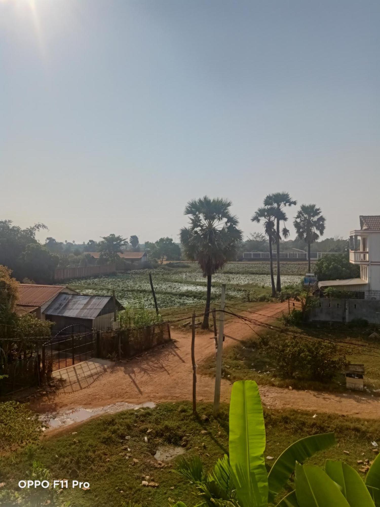 Homestay Yellow Natural House Siem Reap Exterior foto