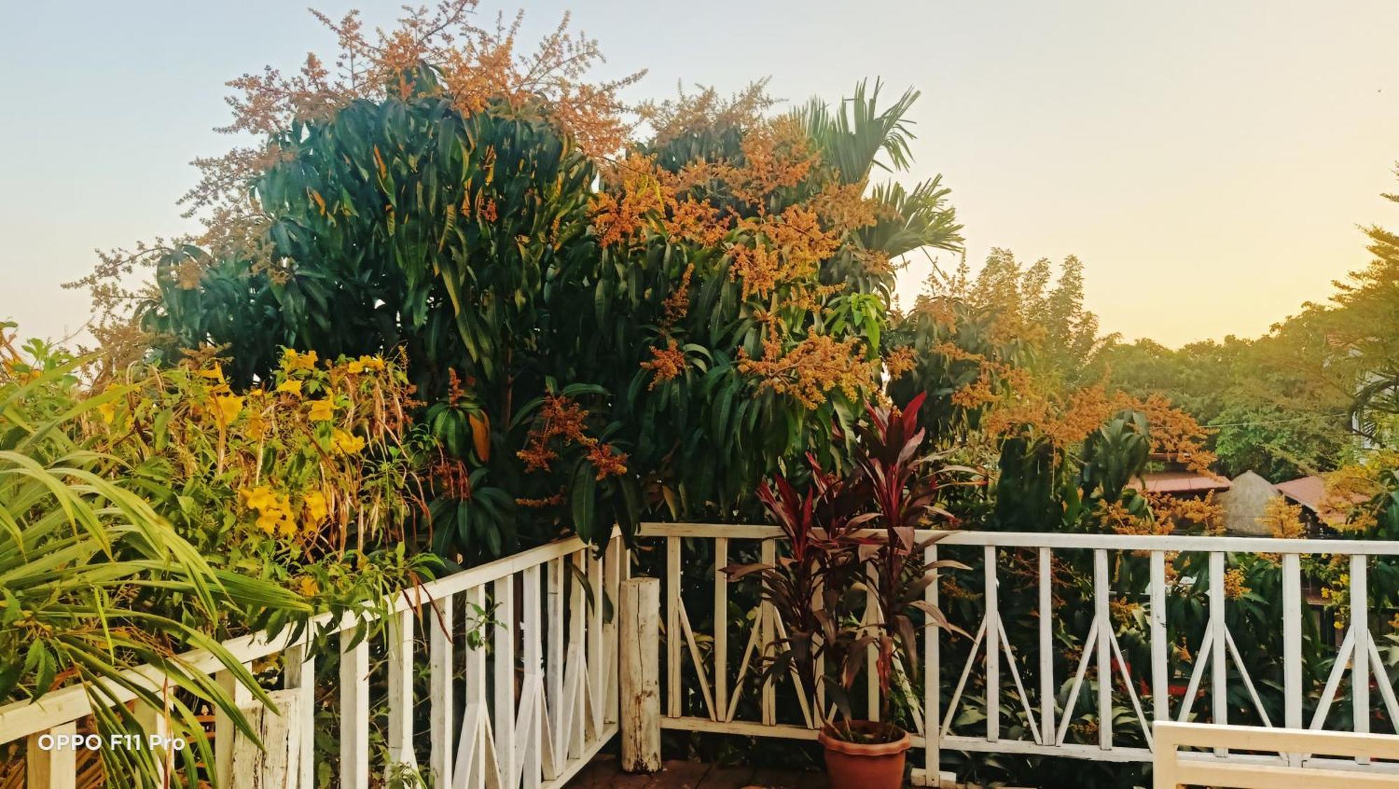 Homestay Yellow Natural House Siem Reap Exterior foto